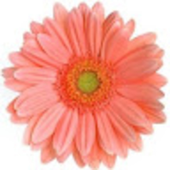 Meet your Posher, Lisa - Picture 1 of 1